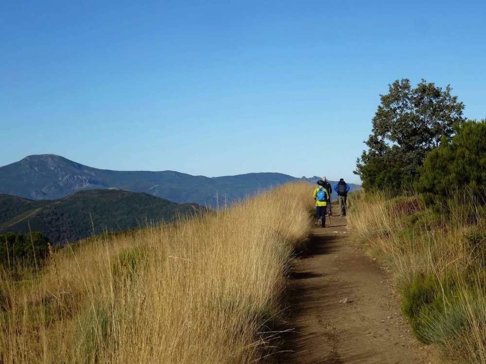 camino de santiago